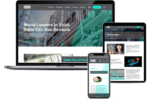 GSS New Website