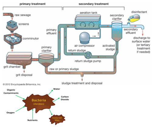 Aerobic vs Anaerobic Wastewater Treatment 